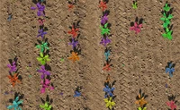 phenobench_plant_instances.png