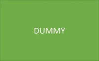 Dummy.png